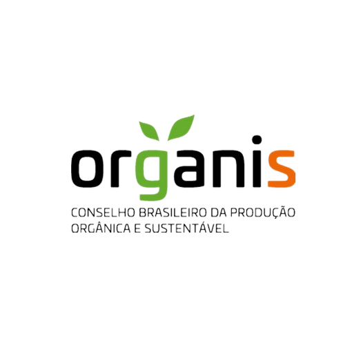 artworks-000227154395-ylmf0k-t500x500-removebg-preview